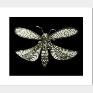 Lightening Bug Posters and Art